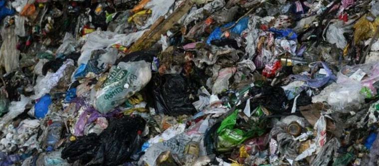 100 кубометров отходов вывезли с незаконных свалок в Люберцах